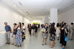 第十二屆全國(guó)美展實(shí)驗(yàn)藝術(shù)展區(qū)在北京開幕 推動(dòng)文化藝術(shù)交流新篇章